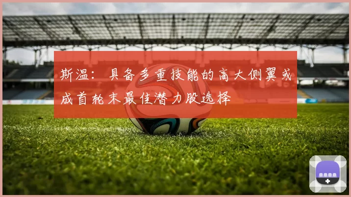 斯温：具备多重技能的高大侧翼或成首轮末最佳潜力股选择